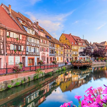 Appartement La Petite Terrasse Sur Les Toits Colmar Exteriér fotografie